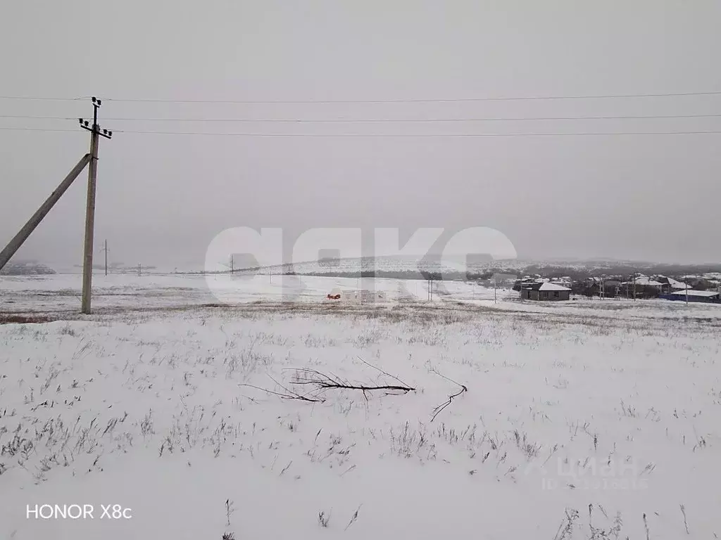 Участок в Волгоградская область, Городищенский район, Царицынское ... - Фото 2