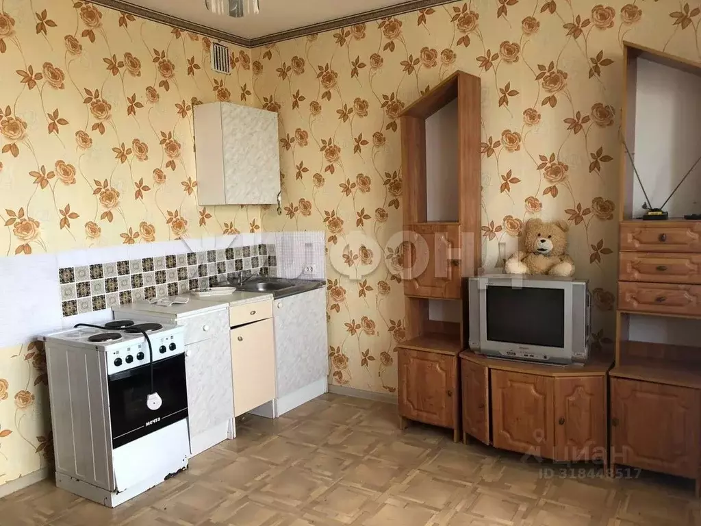 Студия Новосибирская область, Новосибирск ул. Одоевского, 1/8 (20.0 м) - Фото 1