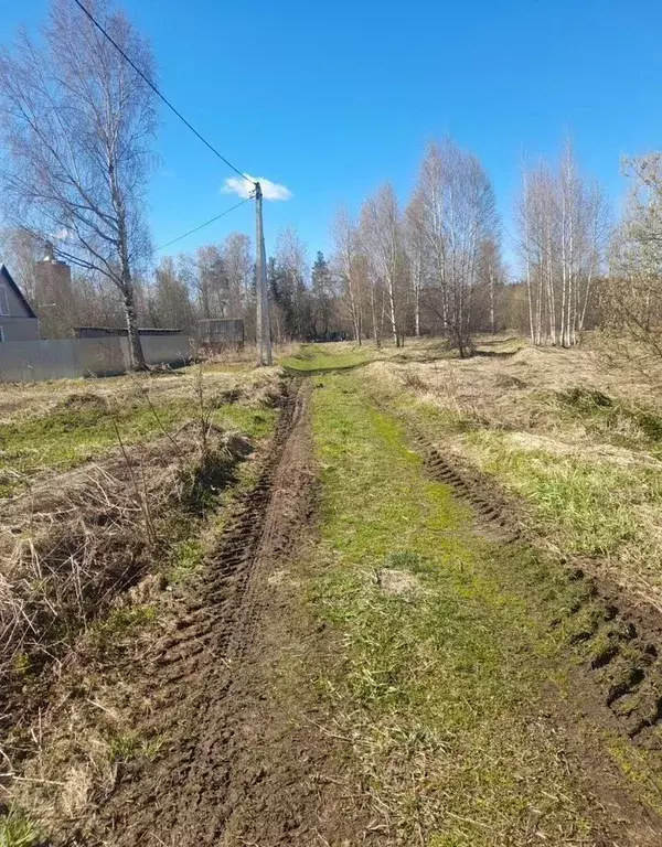 Участок в Московская область, Орехово-Зуевский городской округ, д. ... - Фото 2