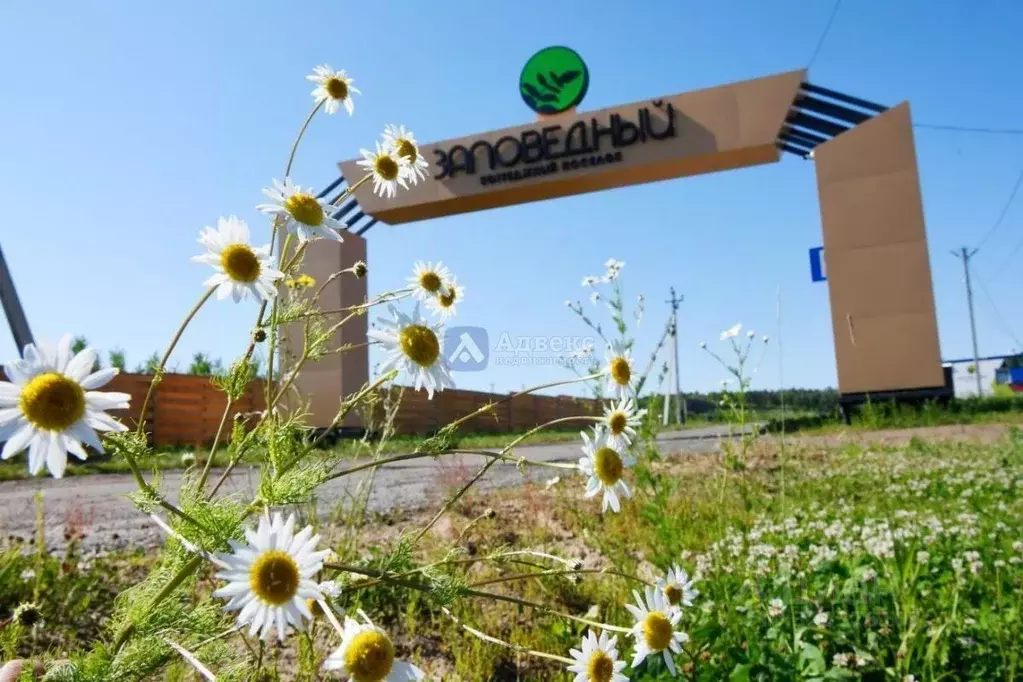 Участок в Тюменская область, Тюменский муниципальный округ, с. Кулига  ... - Фото 1