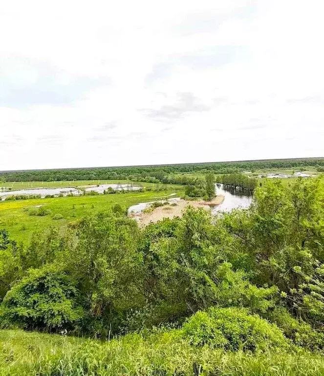 Участок в село Берёзово, Нагорная улица (15 м) - Фото 1