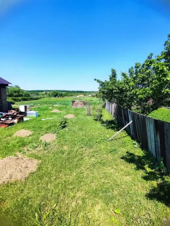 Участок в Амурская область, Благовещенский район, с. ... - Фото 1