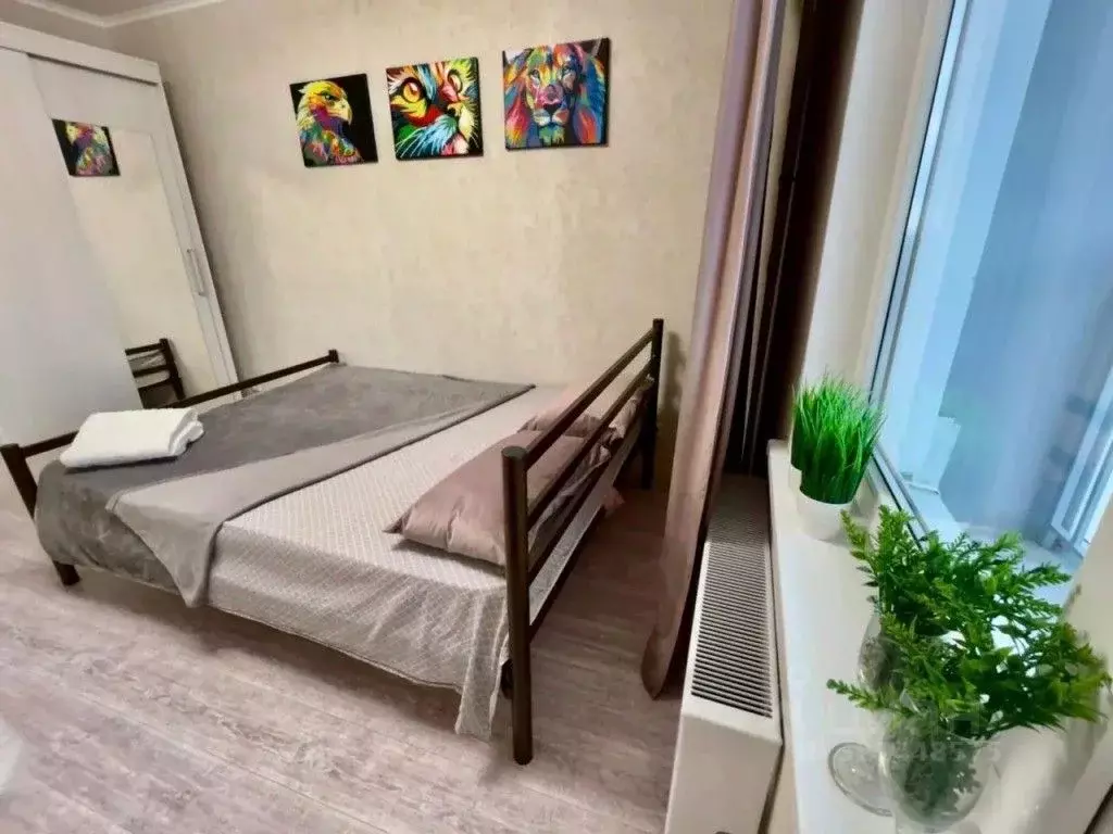 1-к кв. Краснодарский край, Анапа ул. Ленина, 227 (38.0 м) - Фото 2