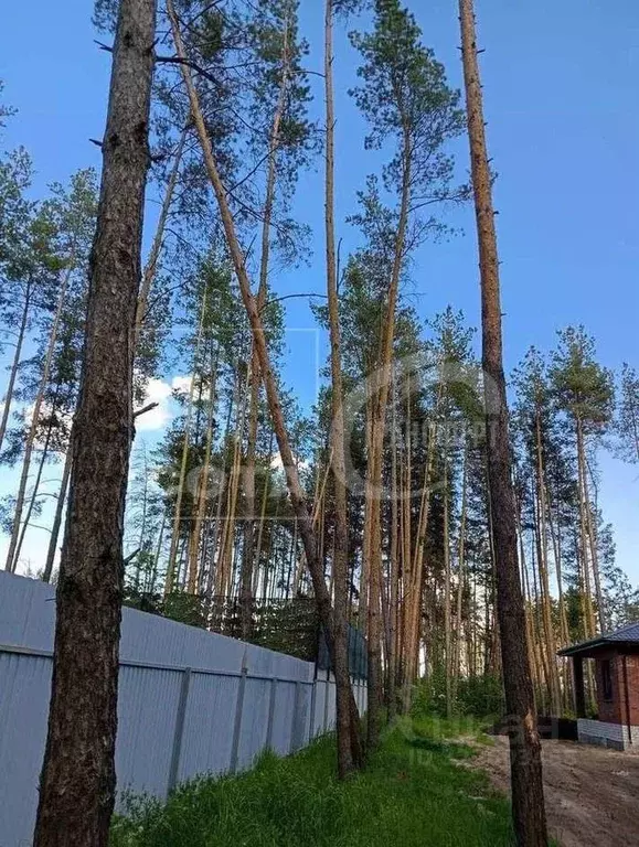 Дом в Воронежская область, с. Новая Усмань ул. Захлебная, 6 (92 м) - Фото 1