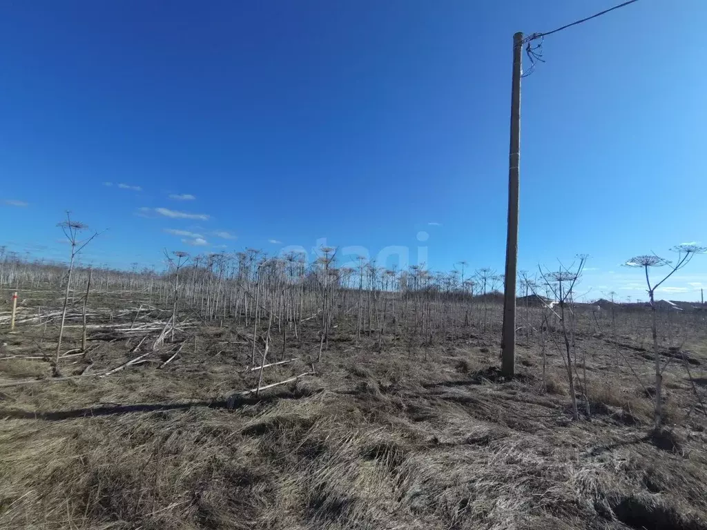 Участок в Коми, Сыктывдинский район, с. Выльгорт  (10.0 сот.) - Фото 1