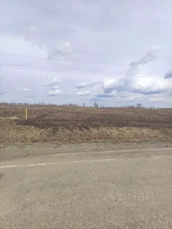 Участок в Челябинская область, Чебаркульский район, пос. Бишкиль  ... - Фото 1