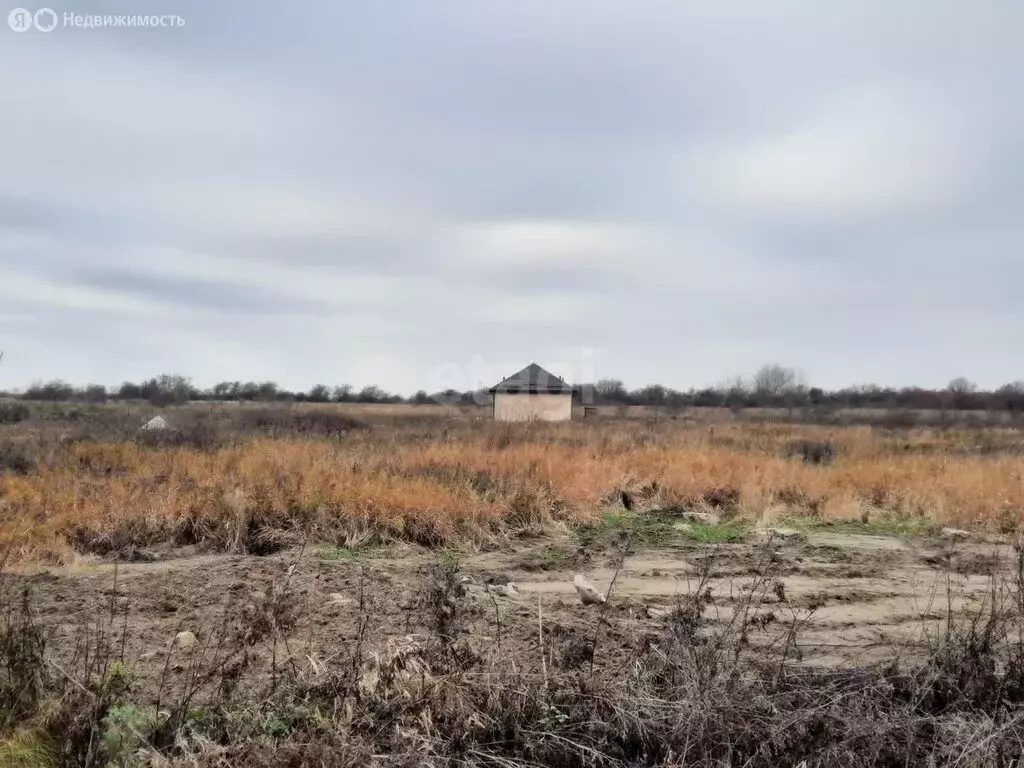 Участок в Калининградская область, Гурьевск (6 м) - Фото 1