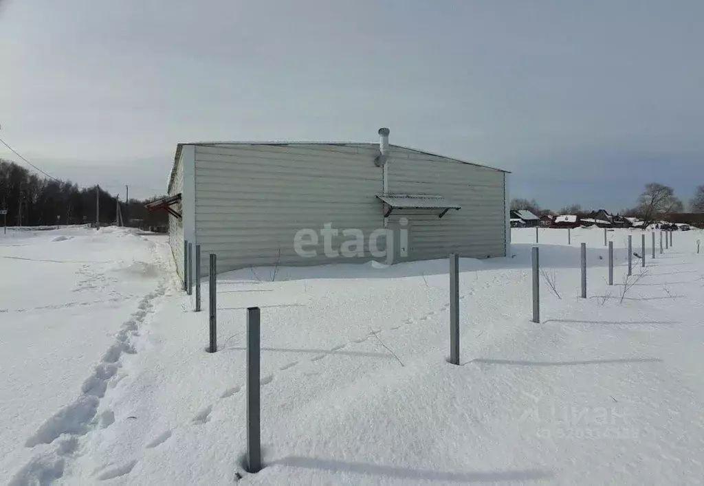 Торговая площадь в Калужская область, Калуга городской округ, д. ... - Фото 2