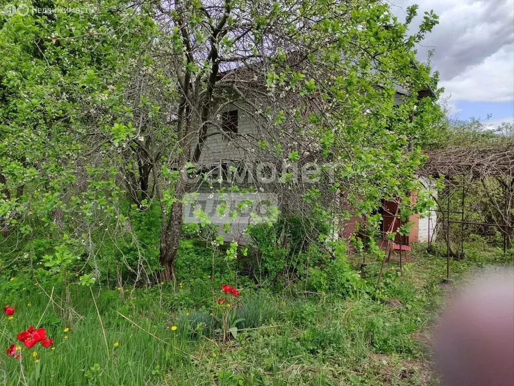 Дом в Задонский район, Верхнестуденецкий сельсовет, село Казино (55 м) - Фото 1