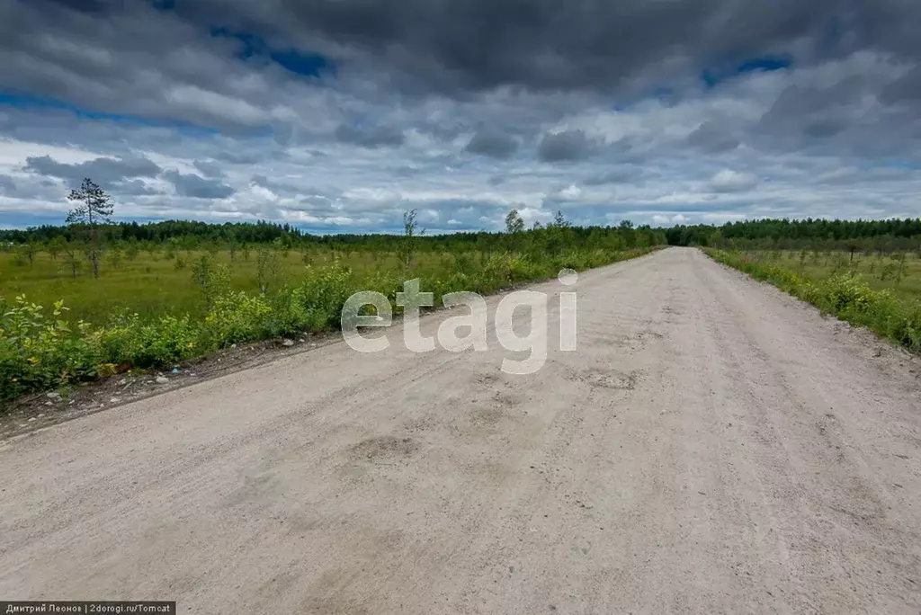 Участок в Курганская область, Курган Черемухово мкр,  (12.71 сот.) - Фото 1