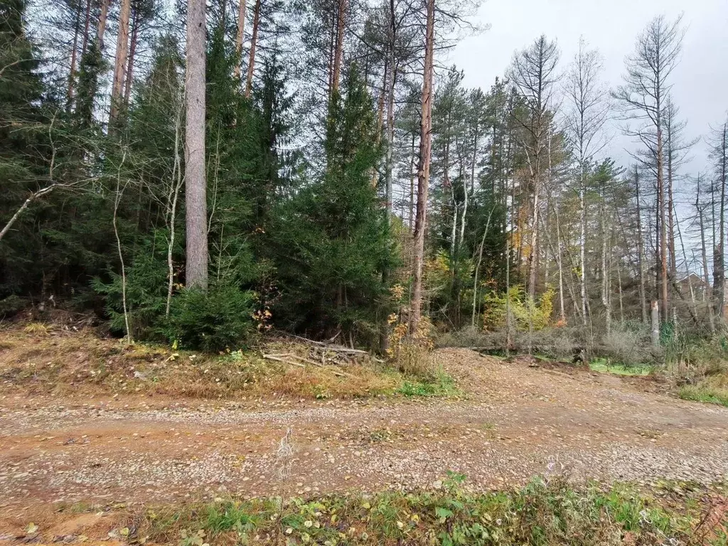 Участок в Ленинградская область, Всеволожский район, Агалатовское ... - Фото 2