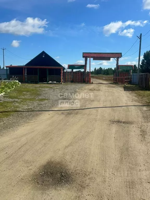 Дом в Челябинская область, Каслинский муниципальный округ, Сунгуль ... - Фото 1