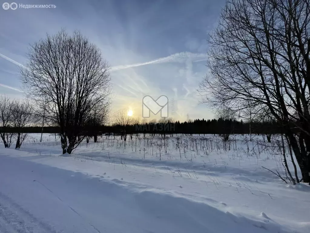 Участок в Клопицкое сельское поселение, деревня Соколовка (349.36 м) - Фото 2