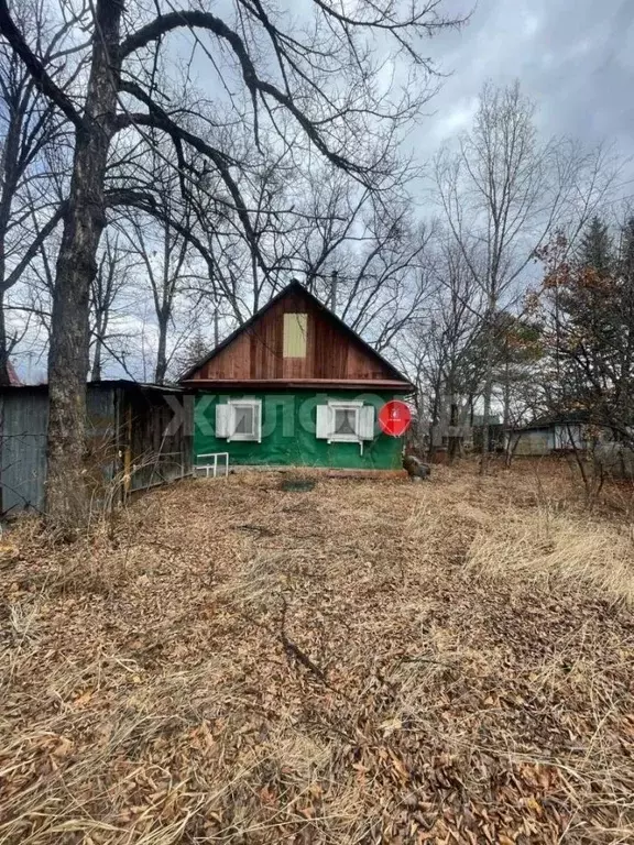 Дом в Амурская область, Благовещенск Родник СНТ,  (40 м) - Фото 0