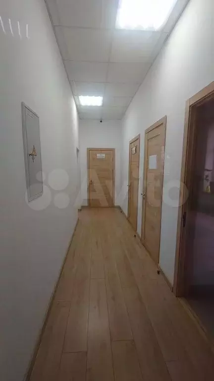 1-я линия, каб. планировка, идеально под офис - Фото 1