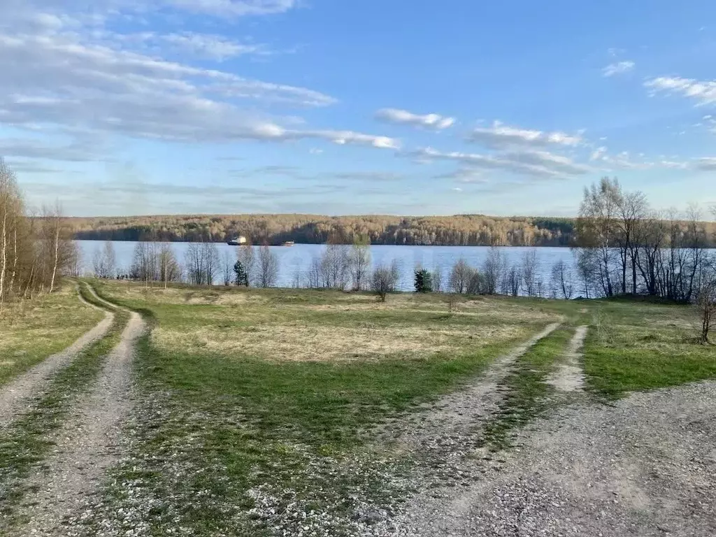Участок в Костромская область, Красносельский район, Прискоковское ... - Фото 1
