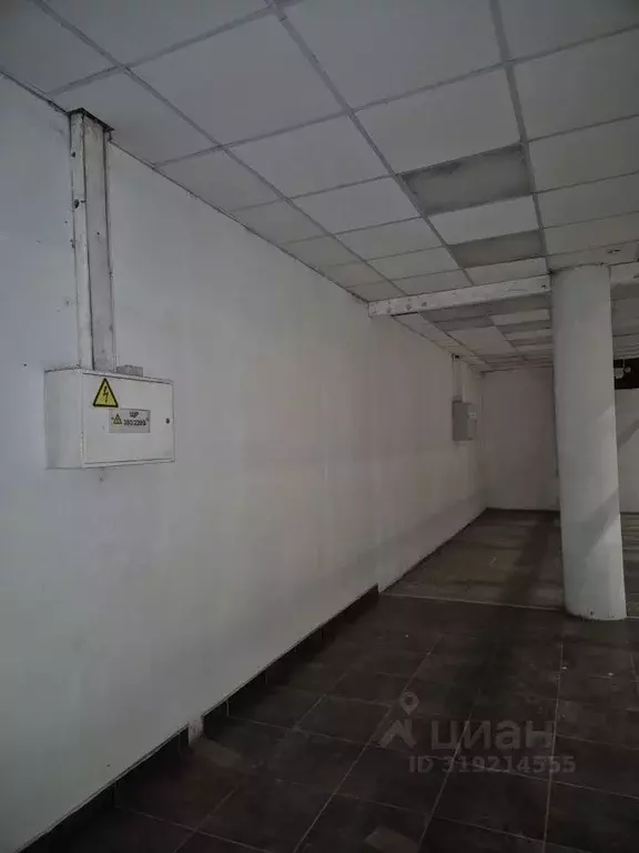 Помещение свободного назначения в Санкт-Петербург Звездная ул., 3к1 ... - Фото 0