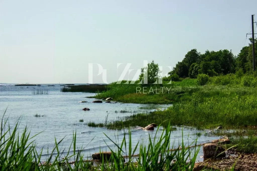 Участок в Санкт-Петербург Соловьиная ул., 3 (24.0 сот.) - Фото 2