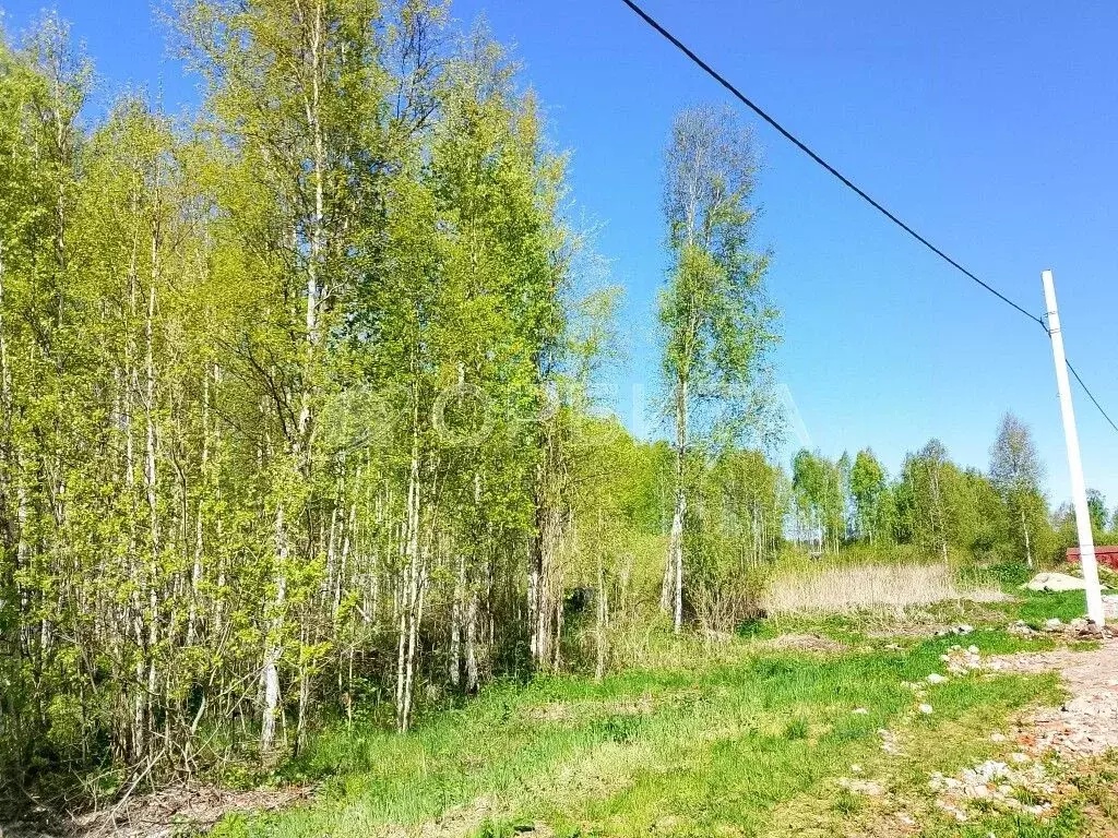 Участок в Тюменская область, Нижнетавдинский район, Моторостроитель ... - Фото 0