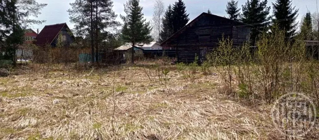 Участок в Ленинградская область, Тосненский район, Форносовское ... - Фото 2