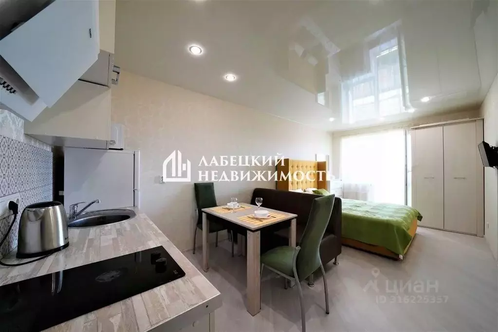Студия Санкт-Петербург ул. Репищева, 10к1 (29.2 м) - Фото 0