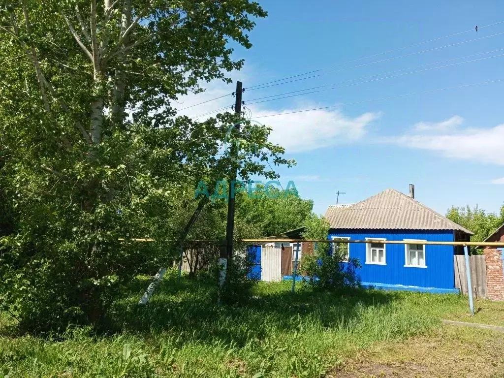 Дом в Белгородская область, Чернянский район, Прилепенское с/пос, с. ... - Фото 1