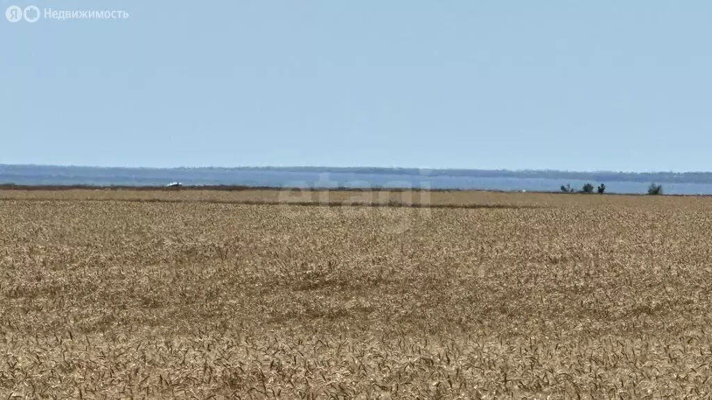 Участок в Черноморский район, село Окунёвка (128.39 м) - Фото 1