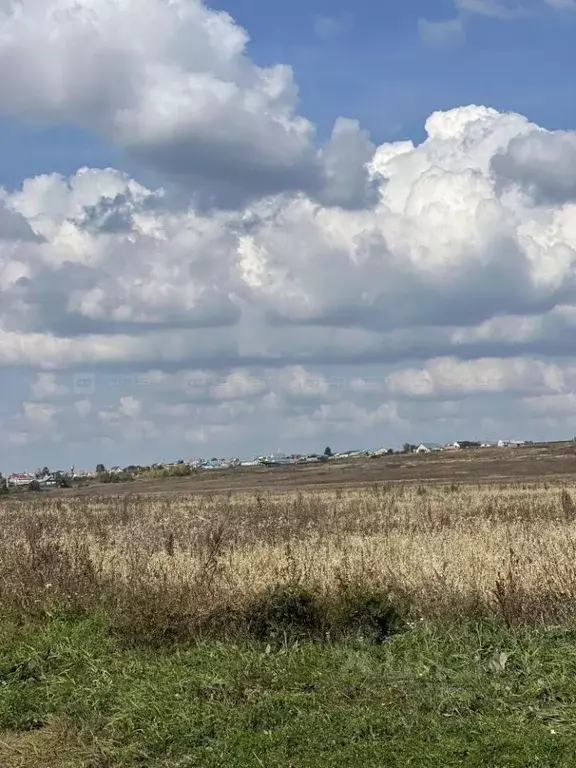 Участок в Татарстан, Рыбно-Слободский район, Русско-Ошнякское с/пос, ... - Фото 0