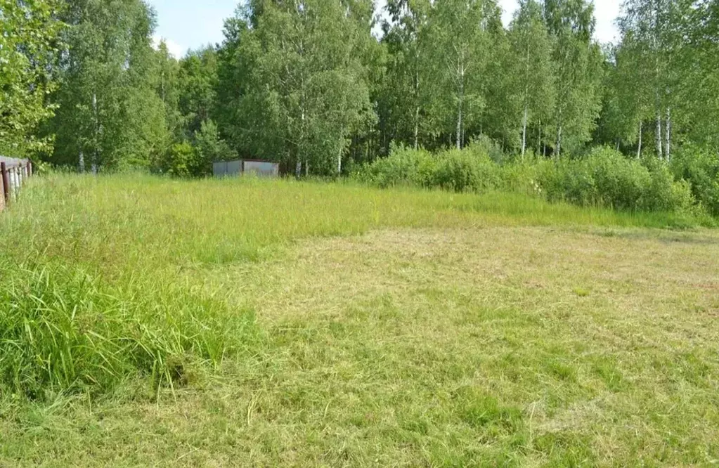 Участок в Московская область, Одинцовский городской округ, д. ... - Фото 1