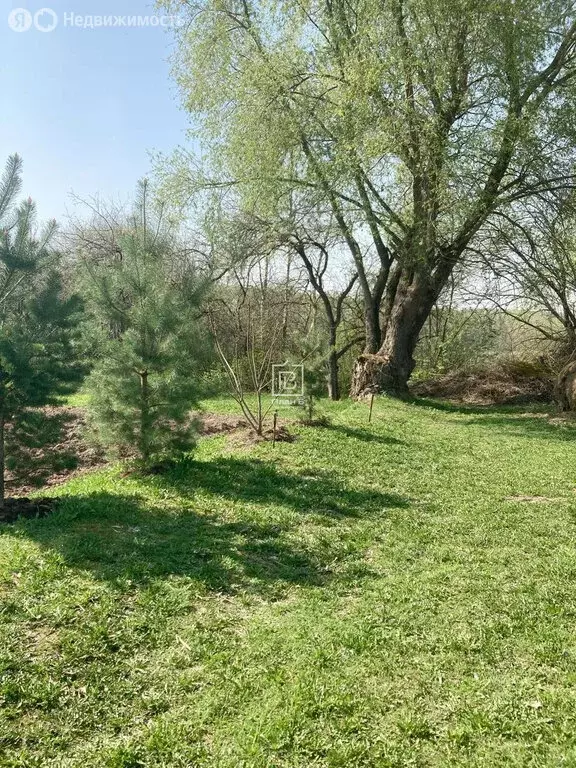 Участок в Калужская область, Перемышльский муниципальный округ, ... - Фото 2