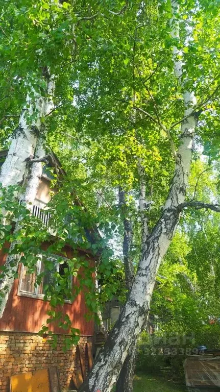 Дом в Иркутская область, Иркутский муниципальный округ, Авиастроитель ... - Фото 1