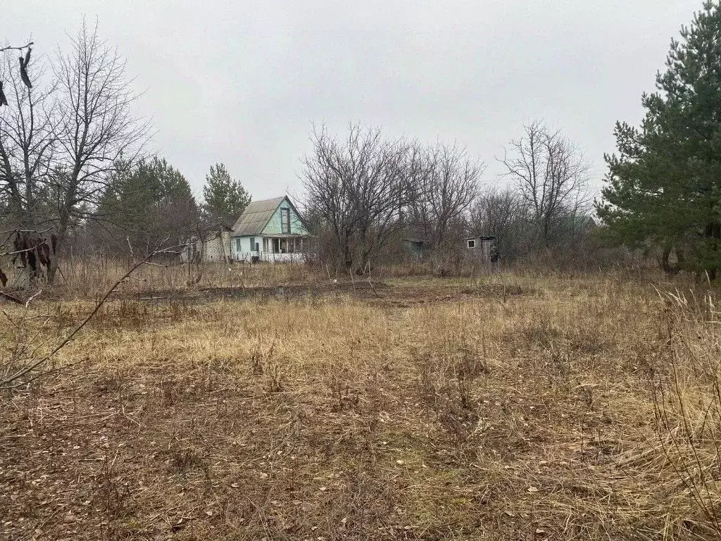 Участок в Воронежская область, Верхнехавский район, Парижскокоммунское ... - Фото 1