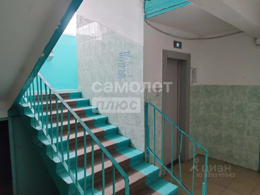 2-к кв. Чувашия, Чебоксары ул. Гузовского, 13 (53.4 м) - Фото 0