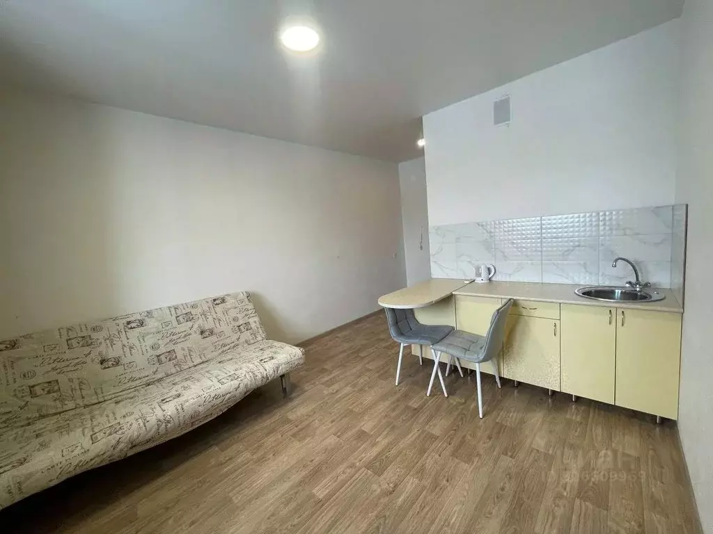 Студия Пензенская область, Пензенский район, Засечный сельсовет, с. ... - Фото 2