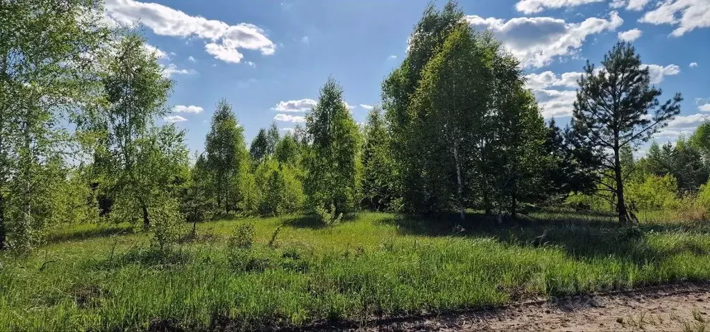 Участок в Татарстан, Лаишевский район, Столбищенское с/пос, с. Усады  ... - Фото 1
