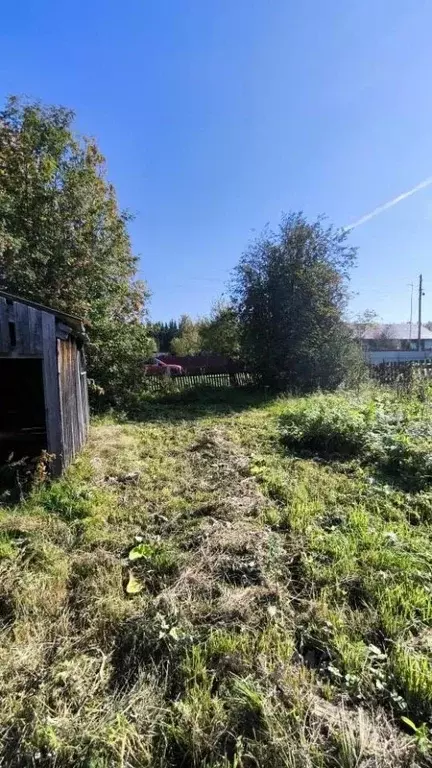 Участок в Пермский край, пос. Усть-Пизя ул. Лесная, 9 (13.0 сот.) - Фото 0