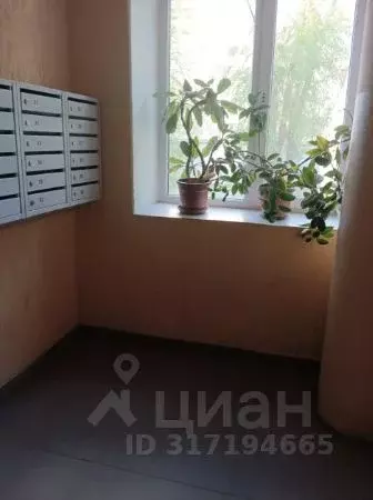1-к кв. Саратовская область, Саратов ул. Имени В.Г. Рахова, 53 (32.0 ... - Фото 1