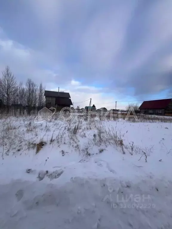 Участок в Тюменская область, Тюменский район, с. Мальково Новая ул., ... - Фото 0