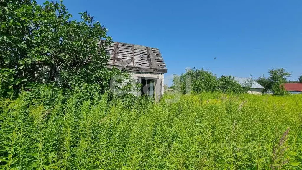 Дом в Брянская область, Брянский район, Чернетовское с/пос, Иволга-5 ... - Фото 2