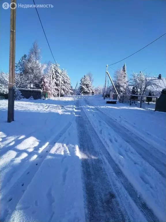 Дом в Волосовский район, Бегуницкое сельское поселение, деревня ... - Фото 1