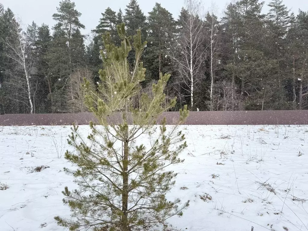 Участок, 7.9 сот., сельхоз (снт или днп) - Фото 1