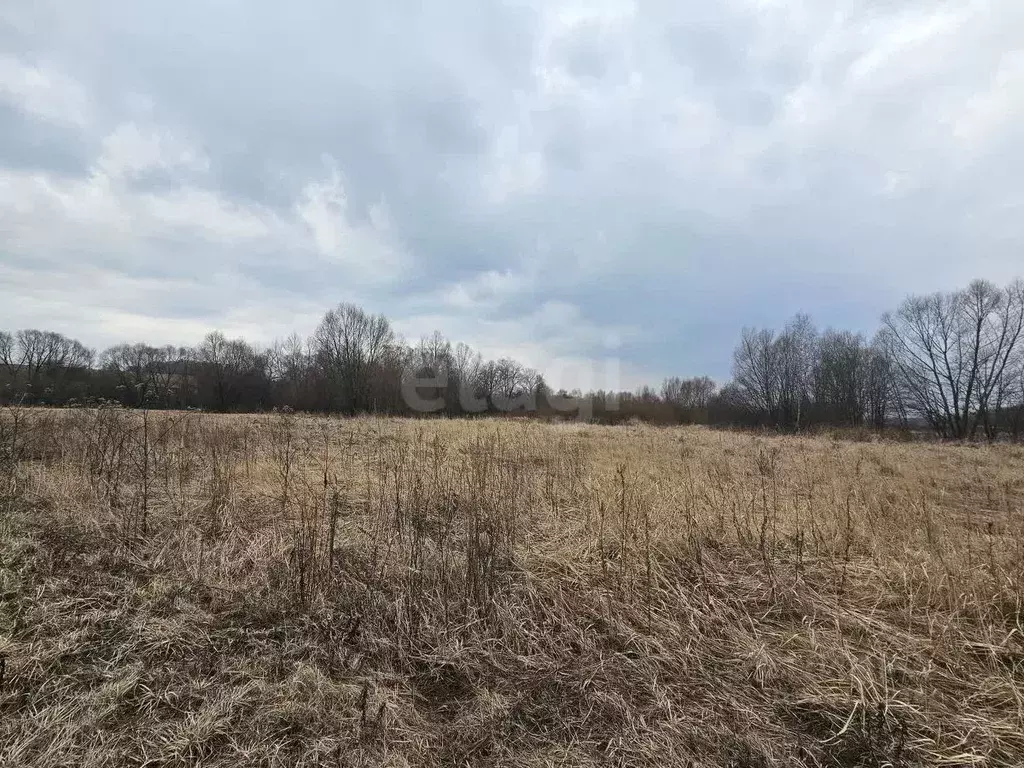 Участок в Московская область, Коломна городской округ, с. Фроловское  ... - Фото 1