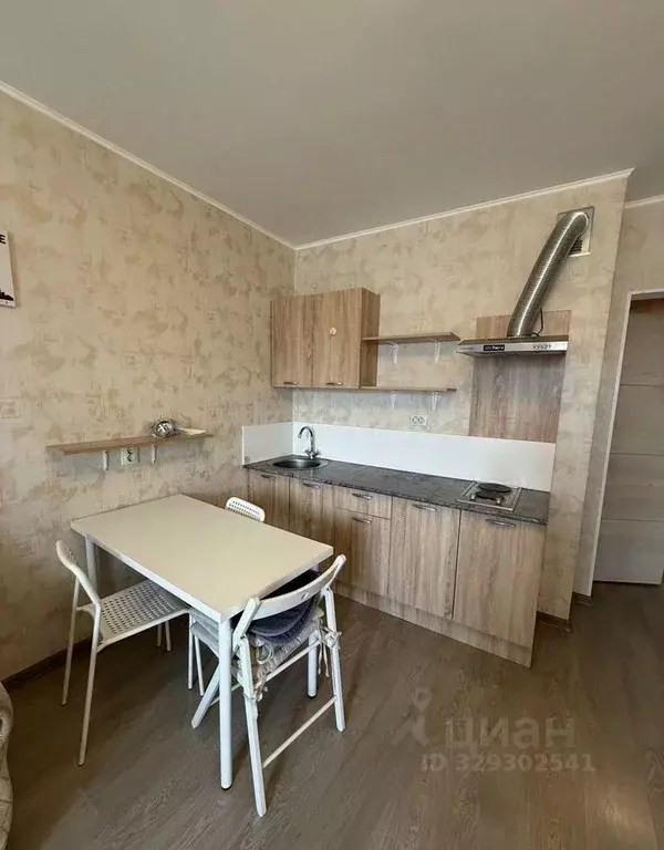 Студия Санкт-Петербург пос. Шушары, ул. Валдайская, 1 (25.0 м) - Фото 2