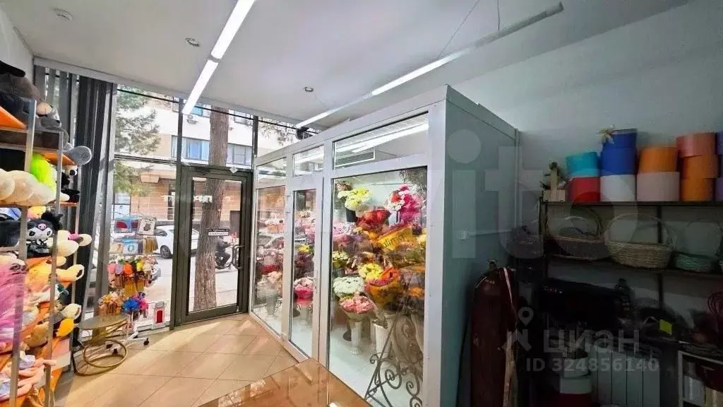 Помещение свободного назначения в Краснодарский край, Геленджик ... - Фото 2