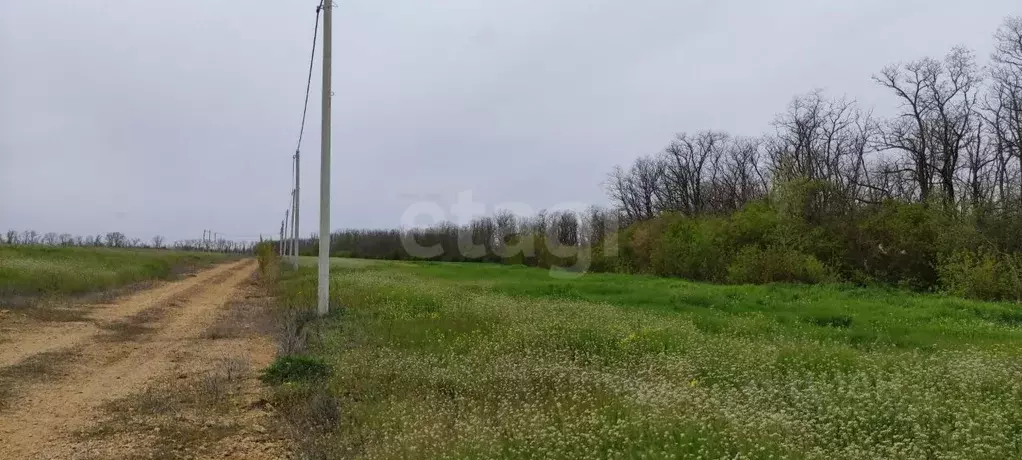 Участок в Ростовская область, Аксайский район, Ленина хут. Зеленая ул. ... - Фото 1