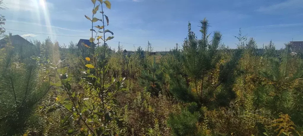 Участок в Кировская область, Слободской район, Бобинское с/пос, д. ... - Фото 1