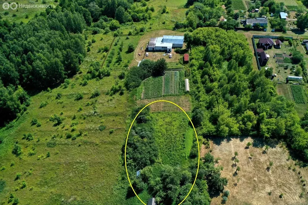 Участок в Рязанская область, Спасский муниципальный округ, село ... - Фото 1