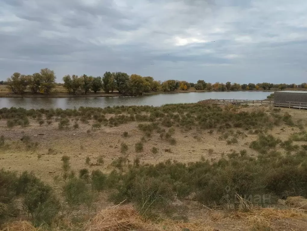 Участок в Астраханская область, Володарский район, Есейтубе хут.  ... - Фото 0