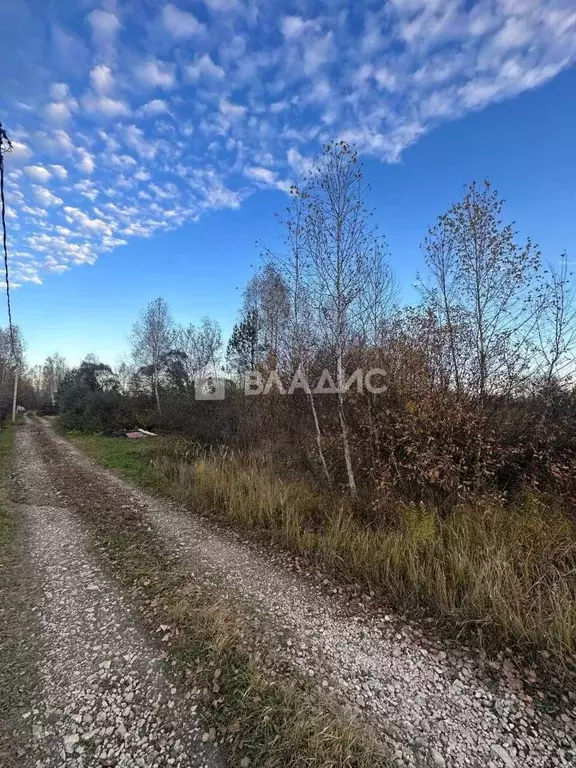 Участок в Нижегородская область, Богородский муниципальный округ, ... - Фото 0