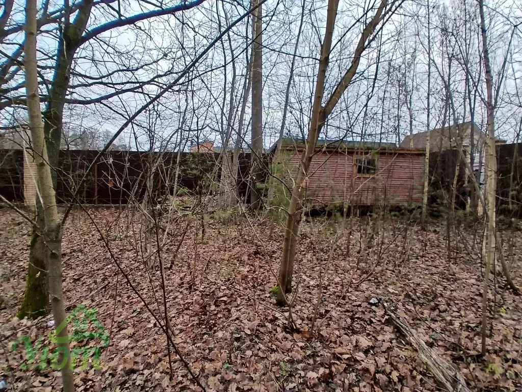 Участок в Московская область, Раменский муниципальный округ, Луч СНТ ... - Фото 1